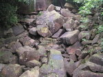 hkTrail678_010