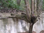 hkTrail678_017