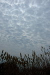 Lantau_peak035