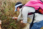 Lantau_peak038