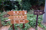 Lantau_peak157