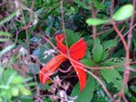 LongKie07_0024