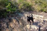 longkei080105_022