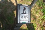 mac6-7_06