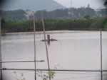 MaiPo_O01