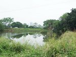 MaiPo018