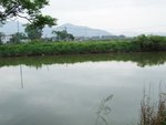 MaiPo033