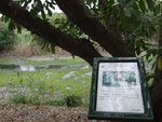 MaiPo034