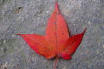 muiwo_012