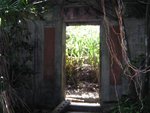 PoToi034