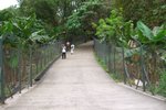 qing-shan_002