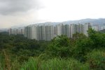 qing-shan_006