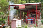 qing-shan_009