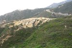 qing-shan_018