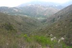 qing-shan_023