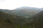 qing-shan_024