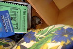 rat3