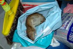 rat6