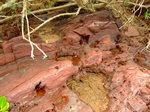 Rad Rocks