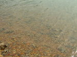 Clear water