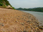 sea shore