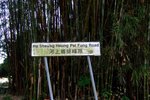 shangshui0801_011