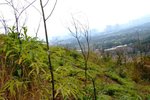 shangshui0801_019