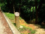 shingmum_34
