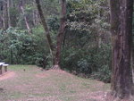 shingmun004