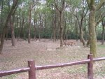 BBQ area, quite good.