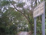 大浪村