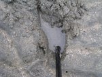 digging