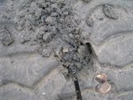 want to dig out something