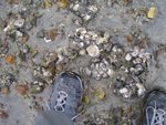 standing on them