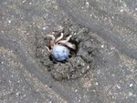 He is digging his home