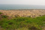 tpc05_291