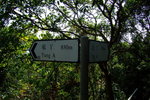 TungA_022