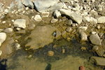 TungA_023