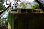 TungA_026