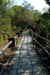 TungA_033