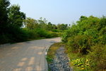 Wetland022
