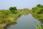 Wetland024