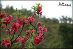 Img20050218-003