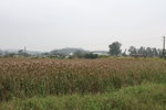 D1_07229