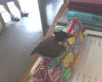 picture008