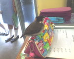 picture009