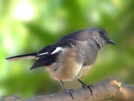 l118381106142500