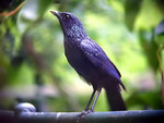 RIMG0048_filtered