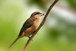 l118381107090580