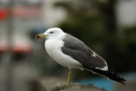 IMG_4946_filtered